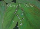 Morodi - Collier de perles sur feuilles
