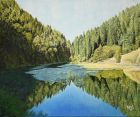 PELLOS - Etang de Bollement Jura